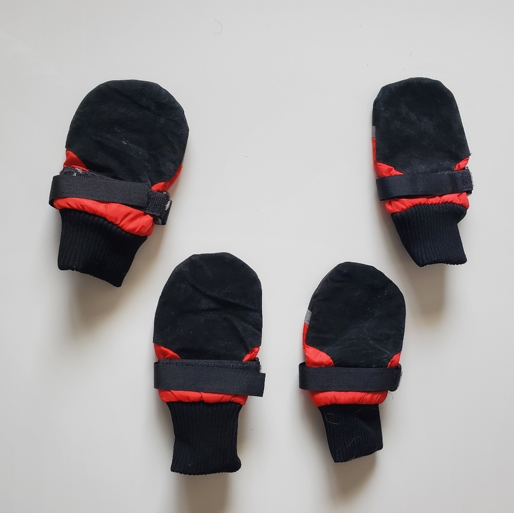 Dog boots ๐๐ข - Picture 3 of 3